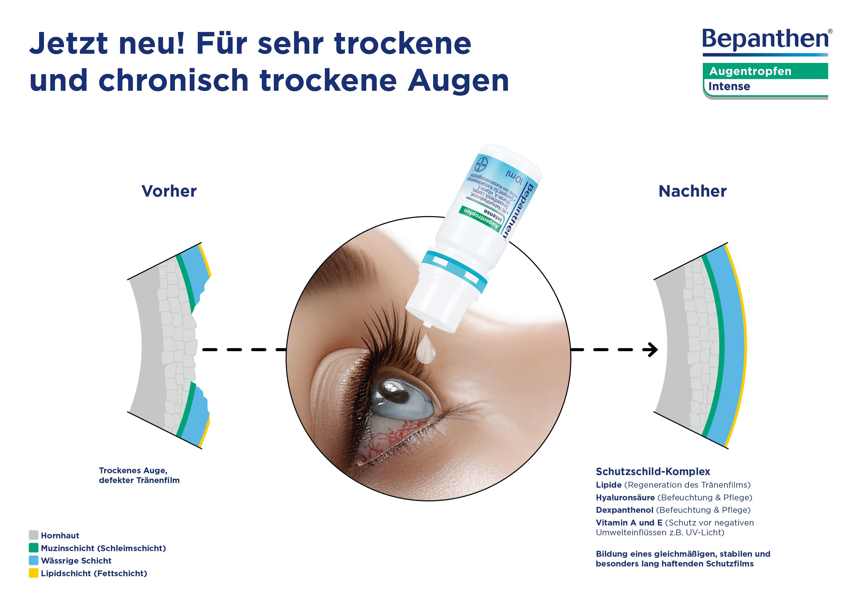 BVBE-0001-0002_Grafiken-Bepanthen-Intense_230319_V8.2_RZ7